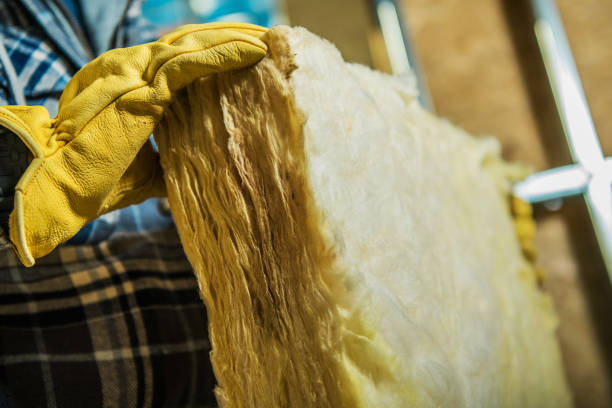 Best DIY Insulation Kits and Guidance in Sparta, MO